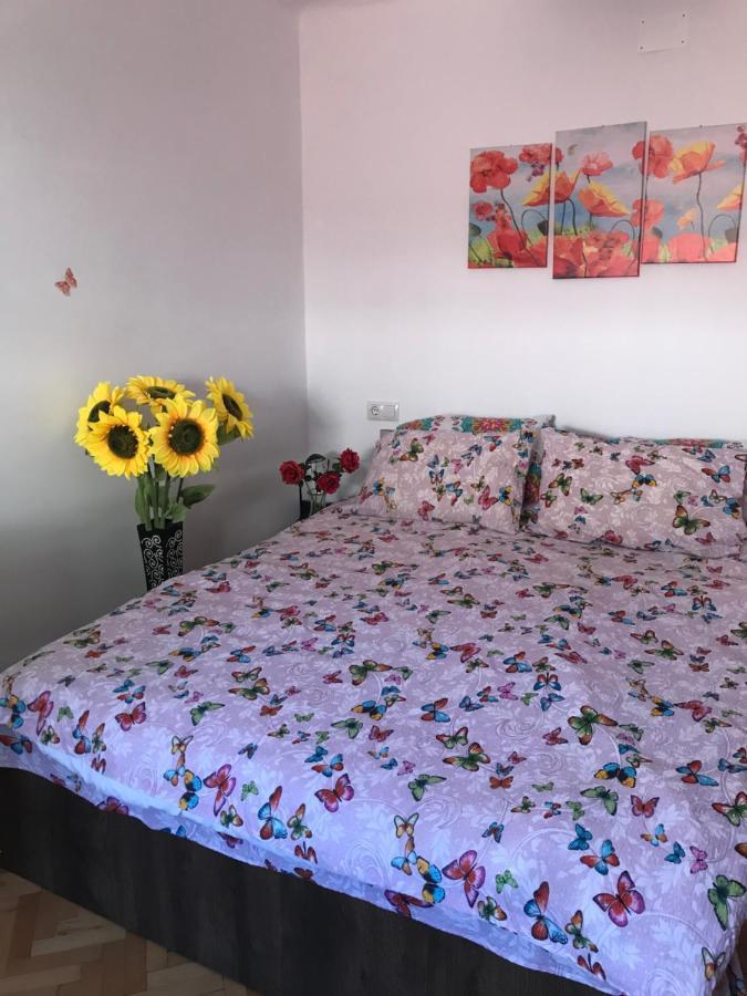 Appartamento The Enchanting Flat Braşov